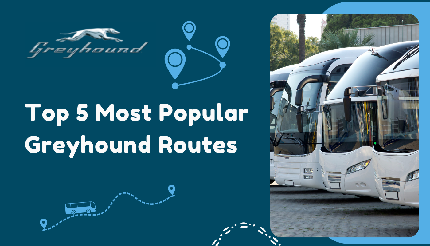 Top 5 Most Popular Greyhound Routes in the US Right Now