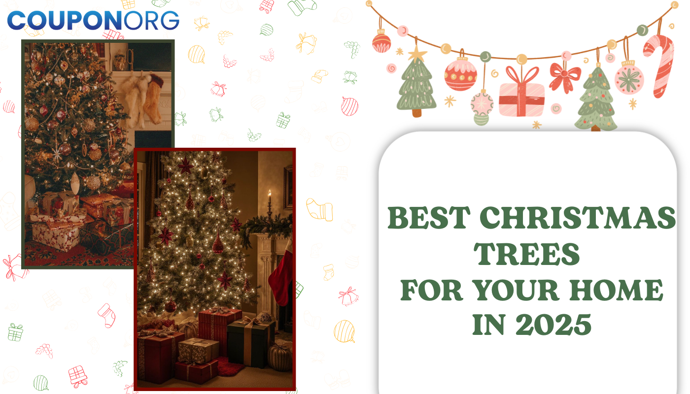 Best Christmas Trees for Your Home in 2025